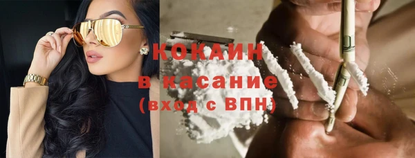 сатива Богородск