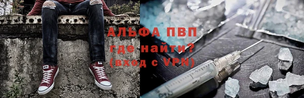 сатива Богородск