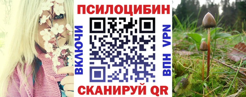 Галлюциногенные грибы Cubensis  Пестово 